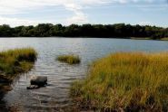 Pelham Bay Park 