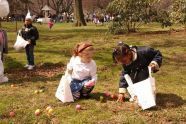 An Easter Egg Hunt in the Park 