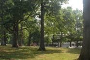 The Park in Summer 