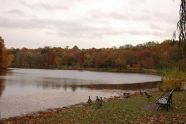 Fall Water Scenes 
