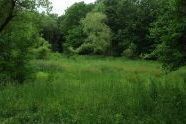 Seton Falls Park 
