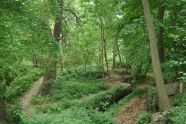 Seton Falls Park 
