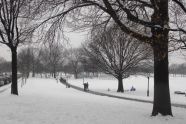 Winter in Juniper Valley Park 