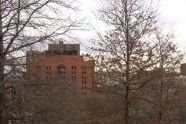 Marcus Garvey Park 