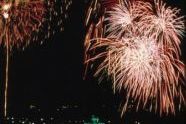 Fireworks in Grand Army Plaza 