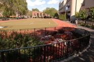 Sara D. Roosevelt Park soccer field 