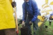 Parks Deputy Commissioner Robert L. Garafola plants a tree 