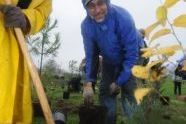 Deputy Commissioner Robert Garafola plants 