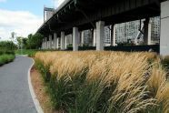 Riverside Park South Ribbon Cutting 