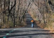 Walking the greenway 