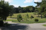 Owl's Head Park 