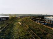The High Line 