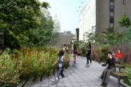 The High Line 