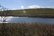 Fresh Kills Park 