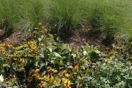 Flowerbed at Thomas Jefferson Park 