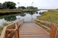 Idlewild Park 