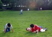St Nicholas Park 
