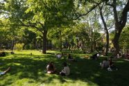 Washington Square Park 