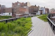 The High Line 