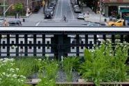 The High Line 