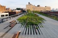 The High Line 