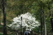 Highland Park 