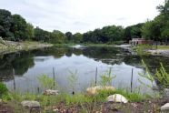 Restored Indian Lake 