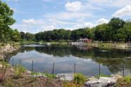 Crotona Park's Indian Lake 