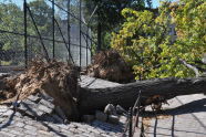 Maria Hernandez Park Storm Damage 