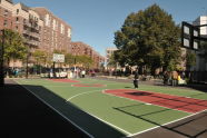 Fox Playground 