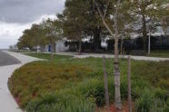 Bensonhurst Park 