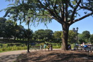 Crotona Park 