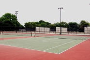 Crotona Park 