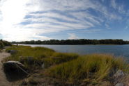 Pelham Bay Park 