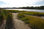 Pelham Bay Park 