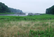 Pelham Bay Park 