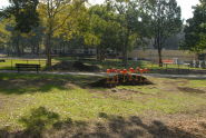St James Park 