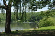 Van Cortlandt Park 