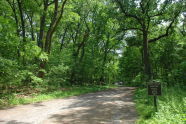 Van Cortlandt Park 