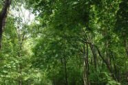 Van Cortlandt Park 