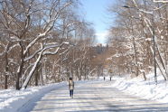 Van Cortlandt Park 