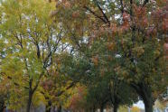 Ferry Point Park 