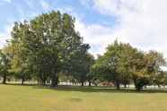 Ferry Point Park 