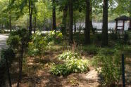 Haffen Park 