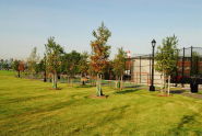 Barretto Point Park 