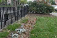 Bensonhurst Park 