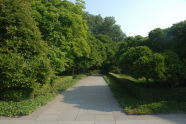 Brooklyn Botanic Garden 