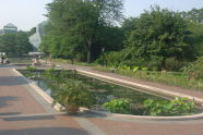 Brooklyn Botanic Garden 