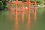 Brooklyn Botanic Garden 