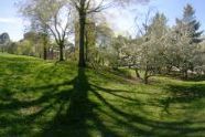 Fort Greene Park 